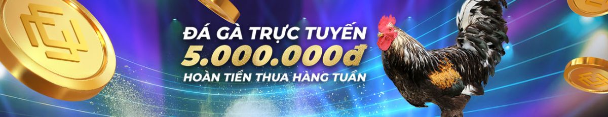 dagathomotructiep.org Hoàn tiền 3.88% hàng tuần tại Đá Gà